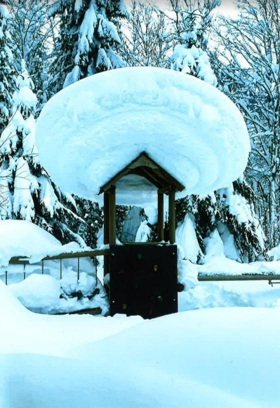 Merryshof Sankt Ulrich am Pillersee Ngoại thất bức ảnh