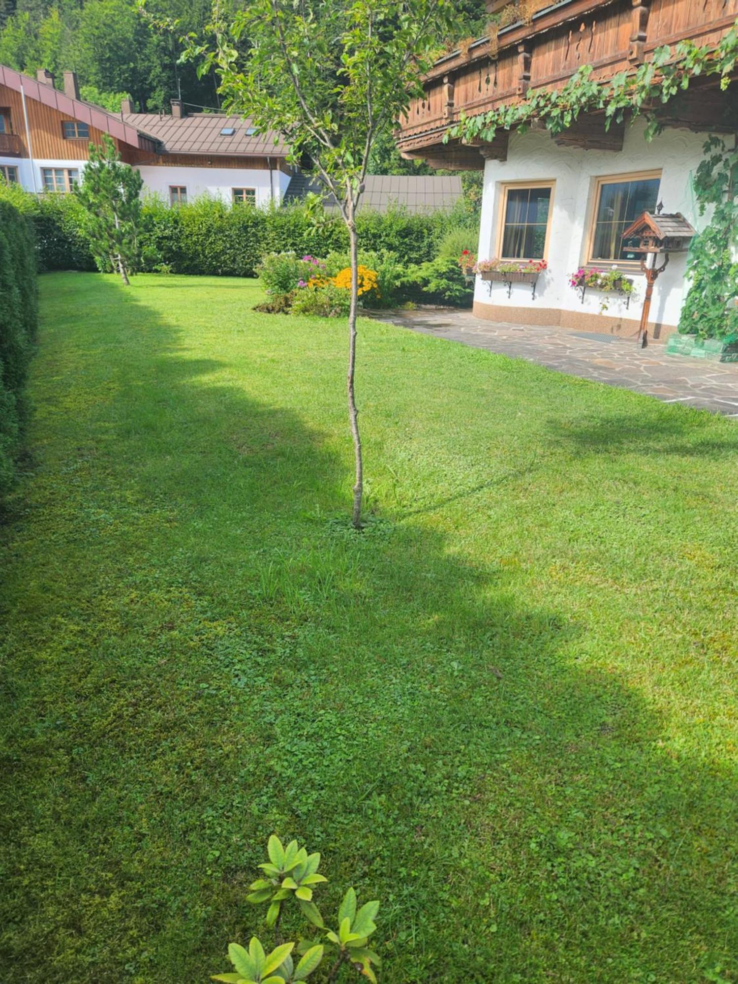 Merryshof Sankt Ulrich am Pillersee Ngoại thất bức ảnh